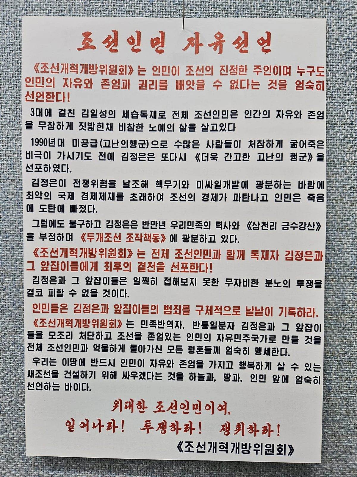 Declaration of Freedom to the North Korean People — leaflet