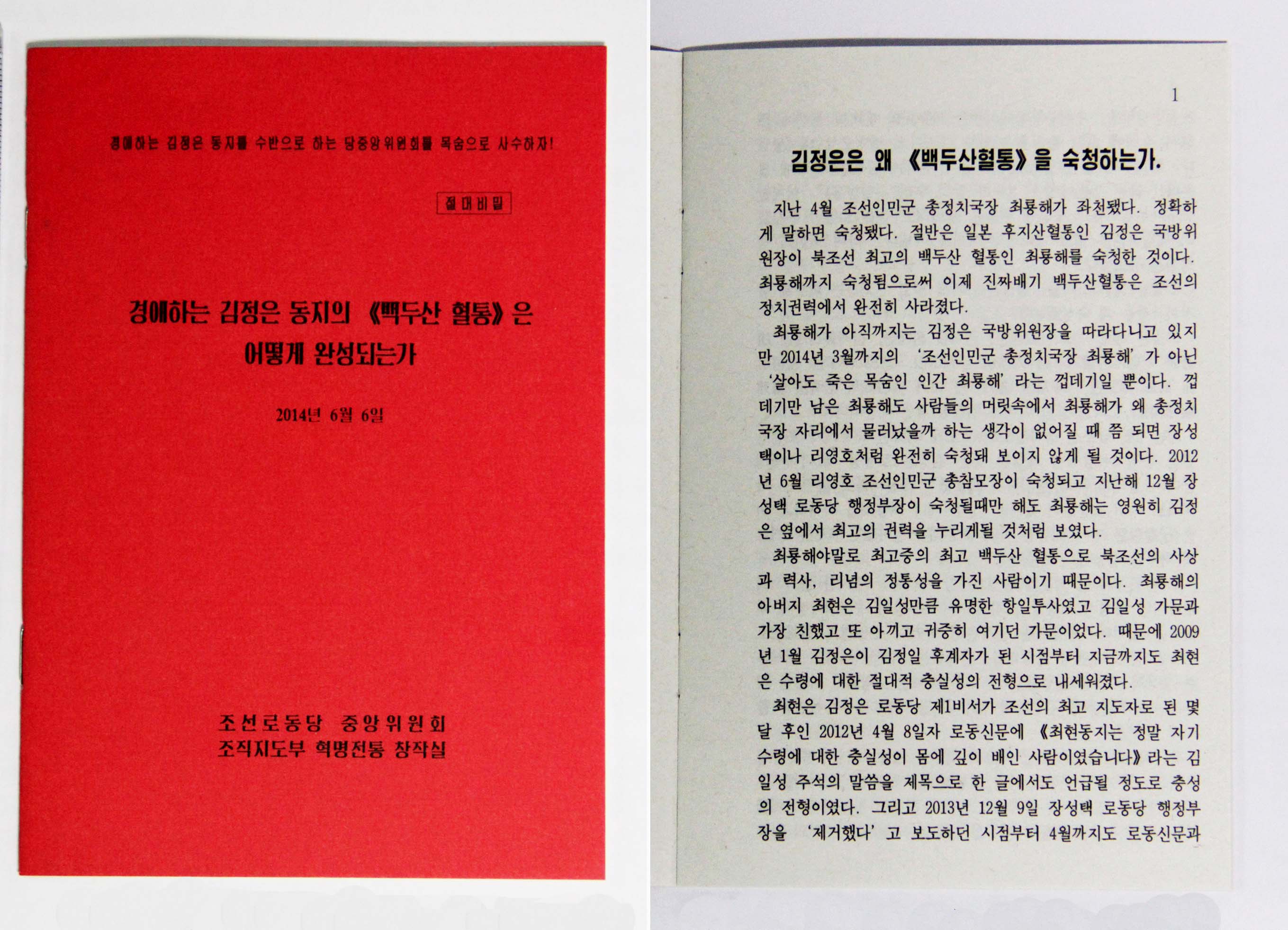 The Red Book: disguised cover and true title page